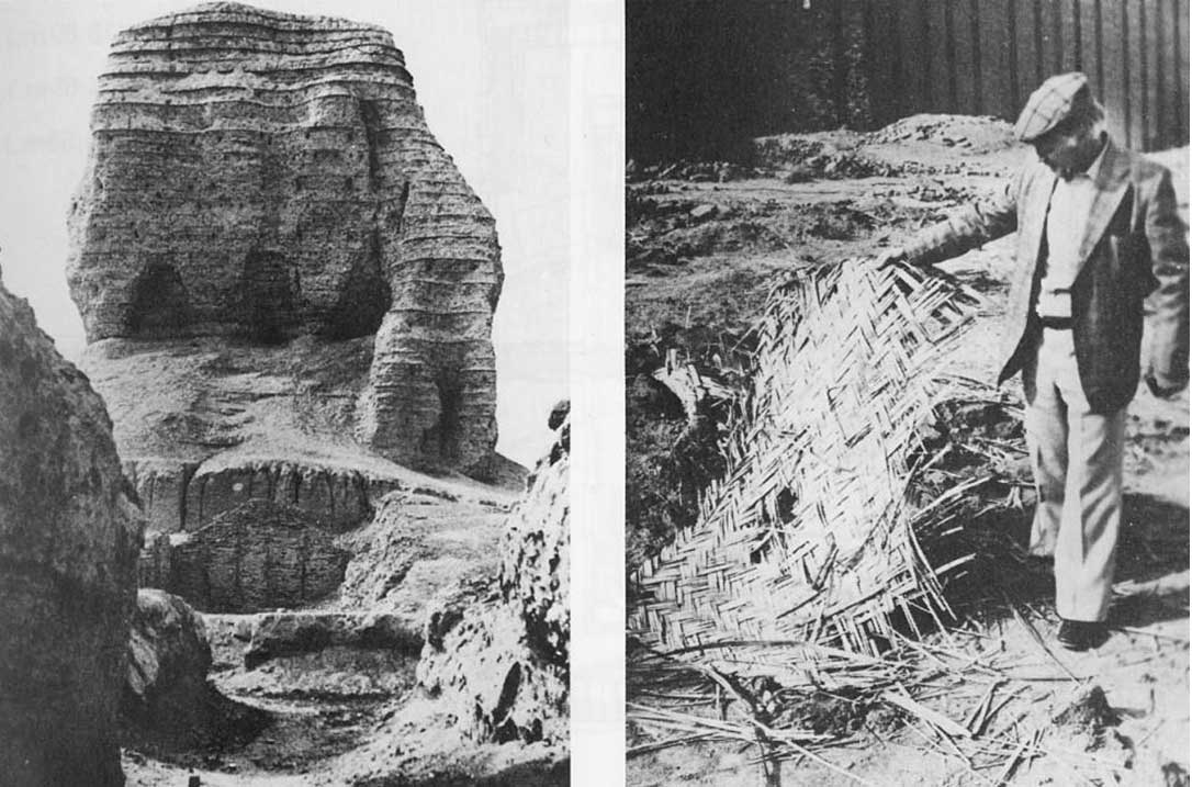 Lưới địa kỹ thuật sơ khai