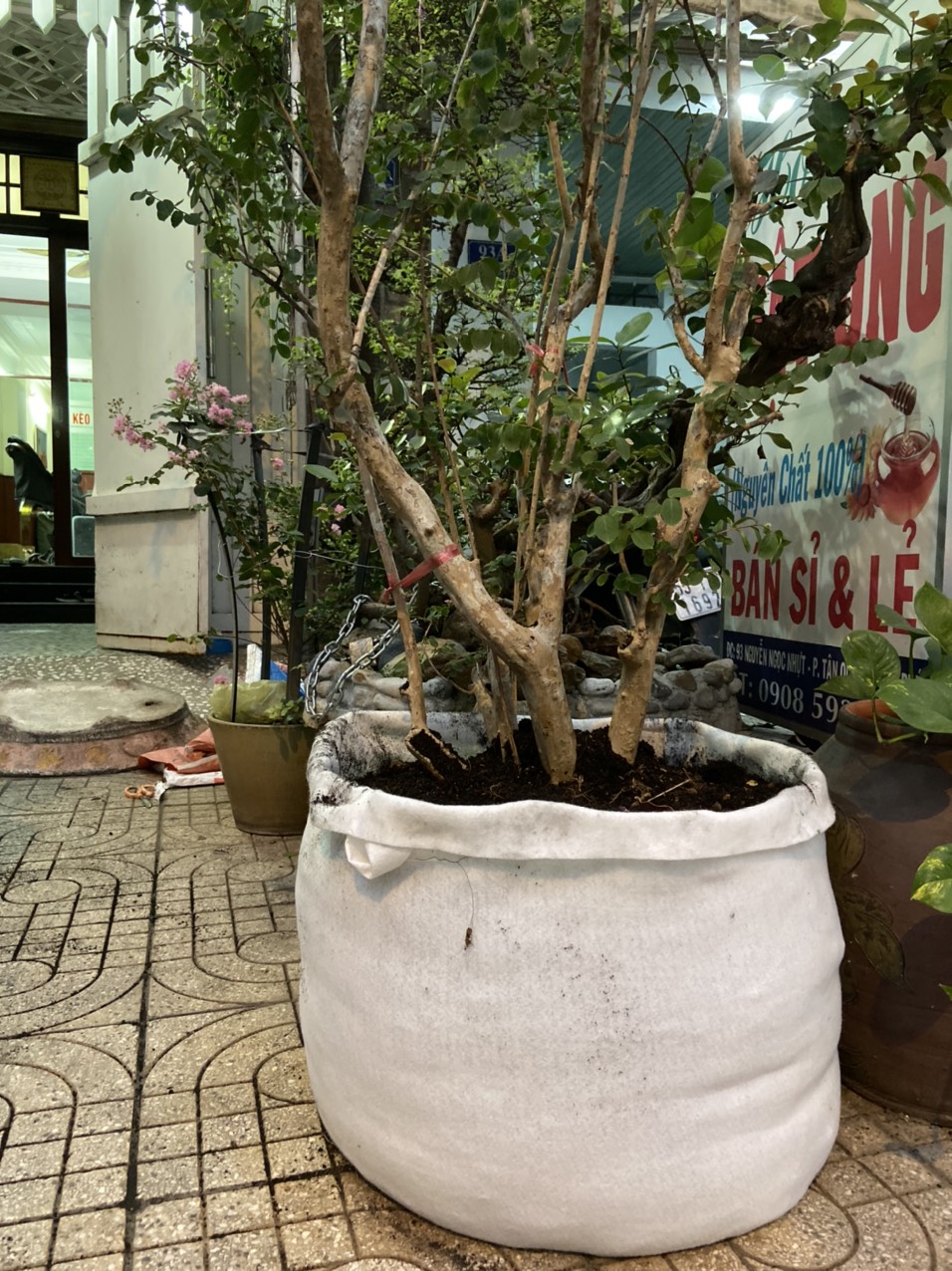 Túi vải trồng cây