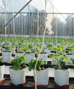 Túi vải trồng cây có quai xách | Kích thước T70 | Combo 20 cái