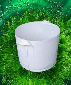 Túi vải trồng cây