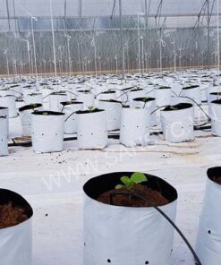 Túi vải trồng cây có quai xách | Kích thước T70 | Combo 20 cái