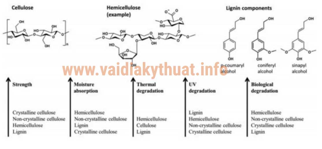 Đánh giá về ứng dụng và đổi mới của vải địa kỹ thuật trong công tác địa kỹ thuật
