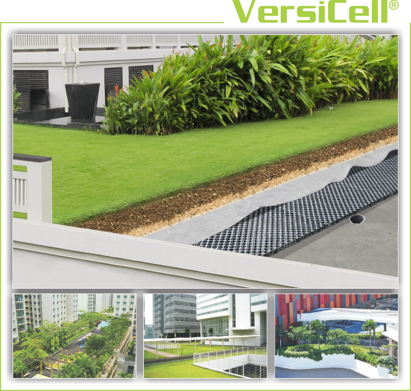 Báo giá vỉ nhựa thoát nước 