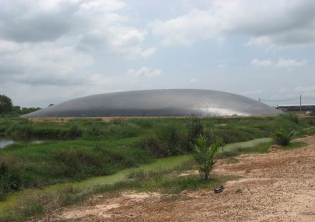 Hầm Biogas Phủ Bạt HDPE Giải Pháp Bảo Vệ Môi Trường Cho Nông Nghiệp Việt Nam 11 Hầm Biogas Phủ Bạt Nhựa HDPE Giải Pháp Tiết Kiệm Năng Lượng Cho Nông Nghiệp Việt Nam