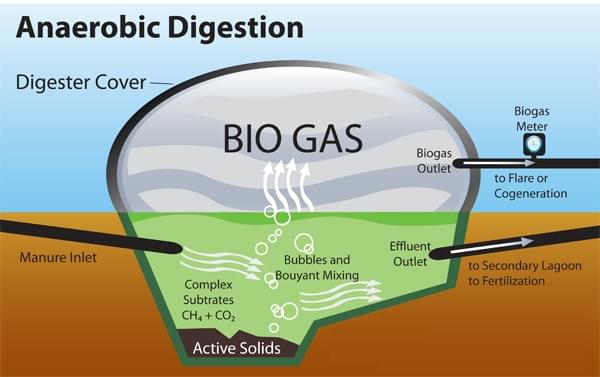 Hầm Biogas Phủ Bạt Nhựa HDPE Giải Pháp Bảo Vệ Môi Trường Cho Nông Nghiệp Việt Nam Hầm Biogas Phủ Bạt Nhựa HDPE Giải Pháp Bảo Vệ Môi Trường Cho Nông Nghiệp Việt Nam