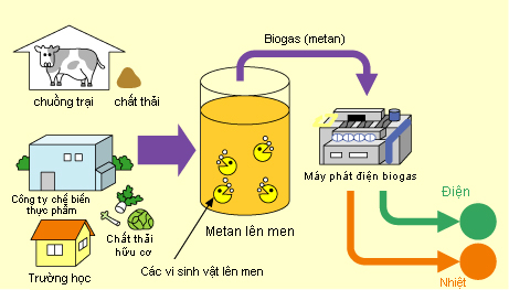 Hầm Biogas Phủ Bạt Nhựa HDPE Giải Pháp Bảo Vệ Môi Trường Cho Nông Nghiệp Việt Nam Hầm Biogas Phủ Bạt Nhựa HDPE Giải Pháp Bảo Vệ Môi Trường Cho Nông Nghiệp Việt Nam