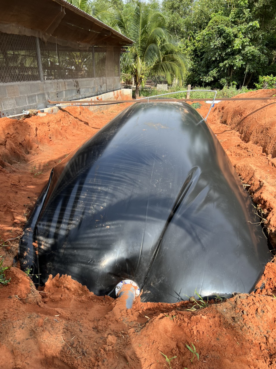 Hầm Biogas Phủ Bạt Nhựa HDPE Giải Pháp Bảo Vệ Môi Trường Cho Nông Nghiệp Việt Nam Hầm Biogas Phủ Bạt Nhựa HDPE Giải Pháp Bảo Vệ Môi Trường Cho Nông Nghiệp Việt Nam