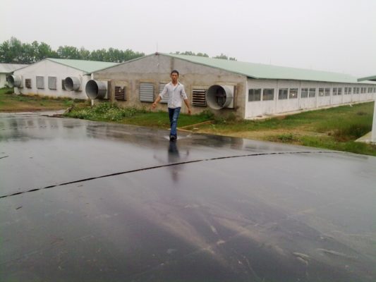 Hầm Biogas Phủ Bạt HDPE Giải Pháp Bảo Vệ Môi Trường Cho Nông Nghiệp Việt Nam 17 Hầm Biogas Phủ Bạt Nhựa HDPE Giải Pháp Tiết Kiệm Năng Lượng Cho Nông Nghiệp Việt Nam