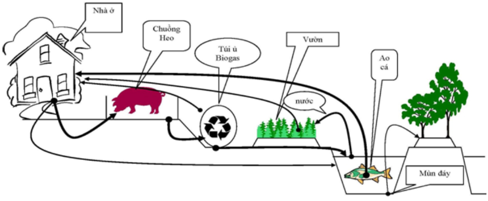 Thi công hầm biogas bằng màng HDPE giá rẻ