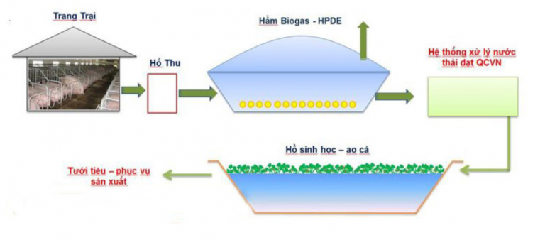 Thi công hầm biogas bằng màng HDPE giá rẻ