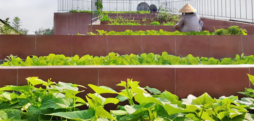 Vỉ thoát nước versicell những ứng dụng phổ biến ở Việt Nam