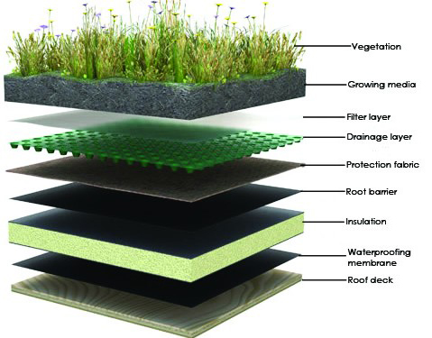 Vỉ thoát nước versicell những ứng dụng phổ biến ở Việt Nam