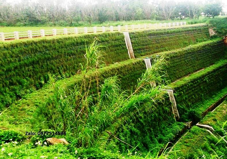 Kè Chắn Đất Tài Liệu Đầy Đủ Về Công Trình Xây Dựng