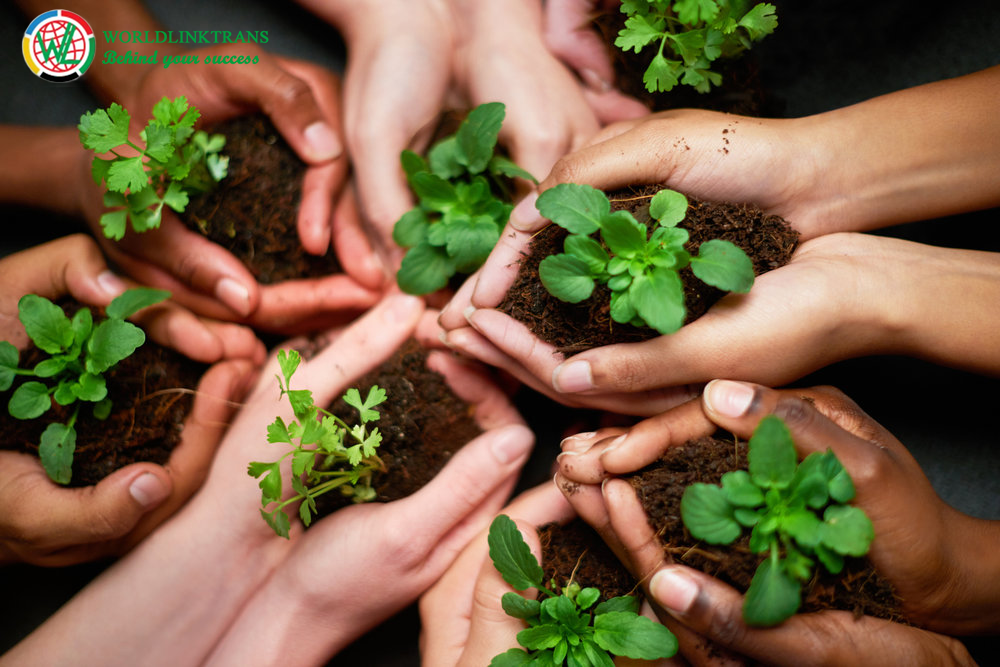 Kỹ thuật địa chất là gì ? Những thông tin cơ bản