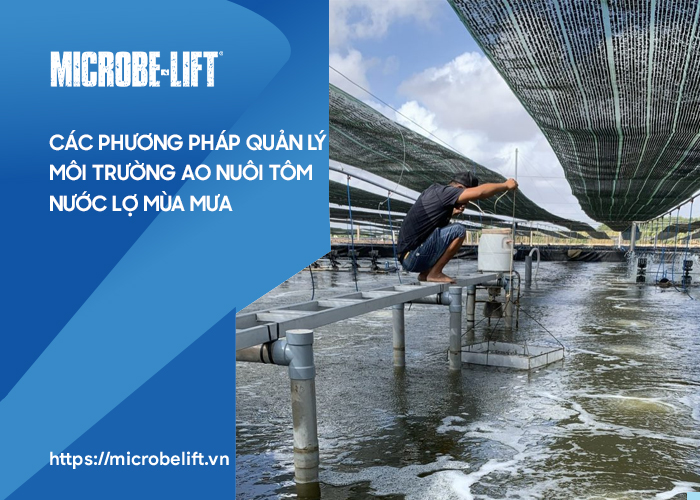 Kỹ thuật địa chất là gì ? Những thông tin cơ bản