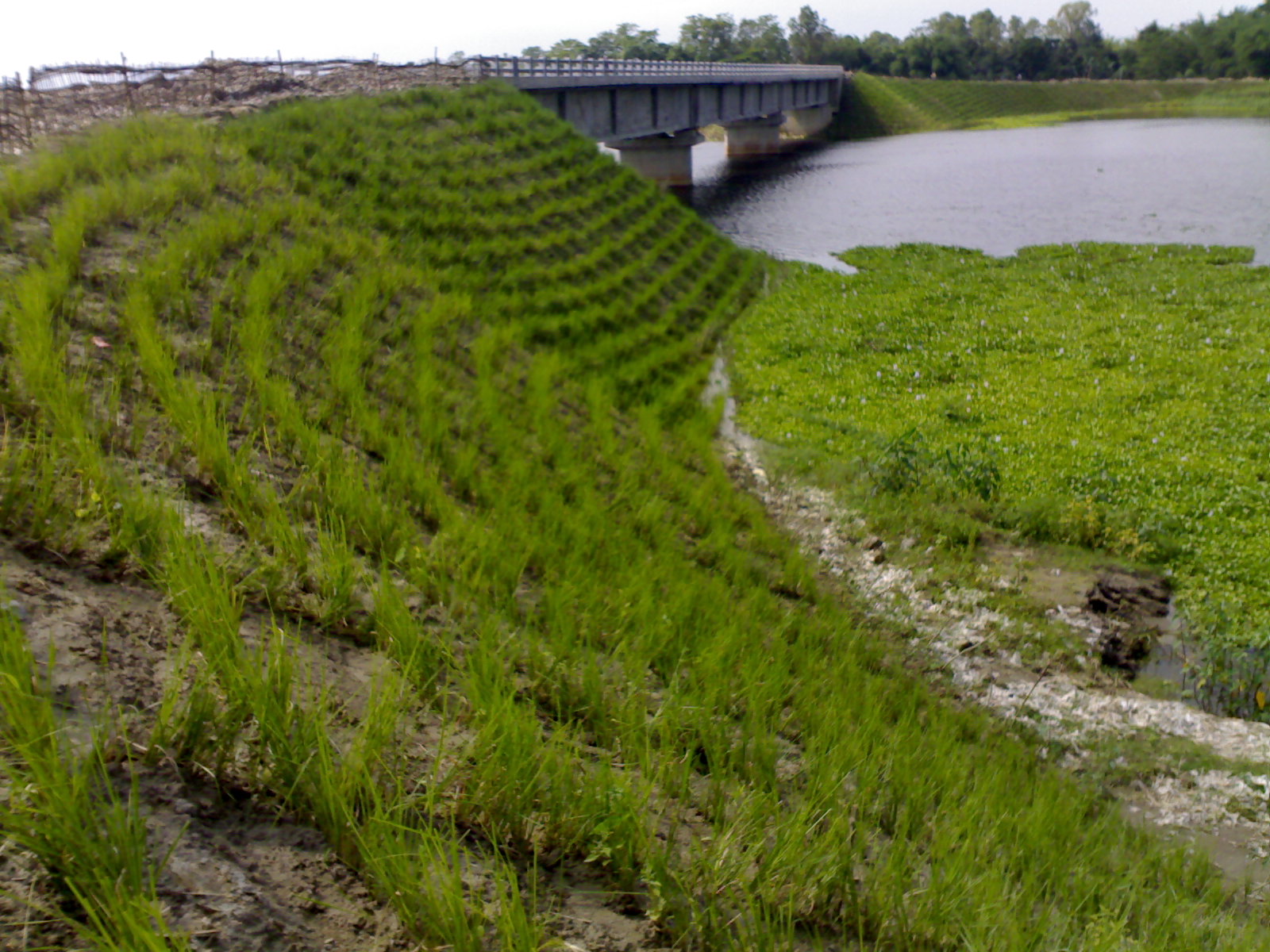 Hướng dẫn thi công lưới địa kỹ thuật