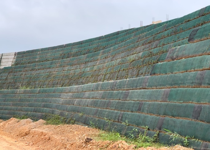 Lưới địa kỹ thuật 1 trục - ứng dụng và giải pháp