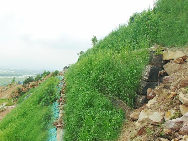 Tường chắn trọng lực là gì?