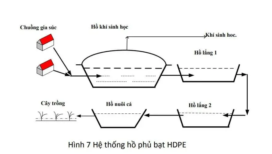 Hầm biogas Thời gian tạo ra ga và hiệu suất sản xuất