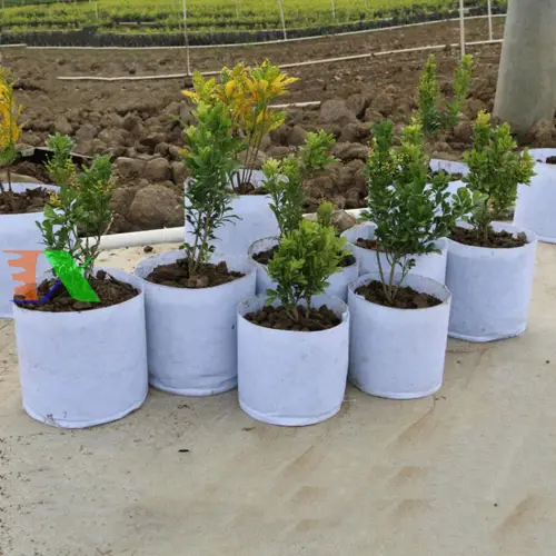 Túi Trồng Cây - Giải Pháp Mới Cho Việc Trồng Cây Hiệu Quả