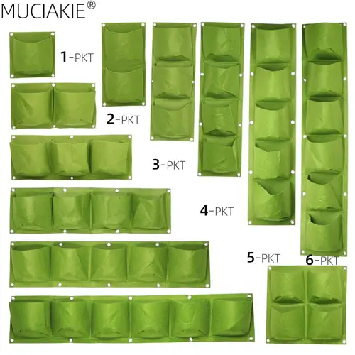 Túi trồng cây trên tường giải pháp tiện lợi cho không gian xanh trong nhà