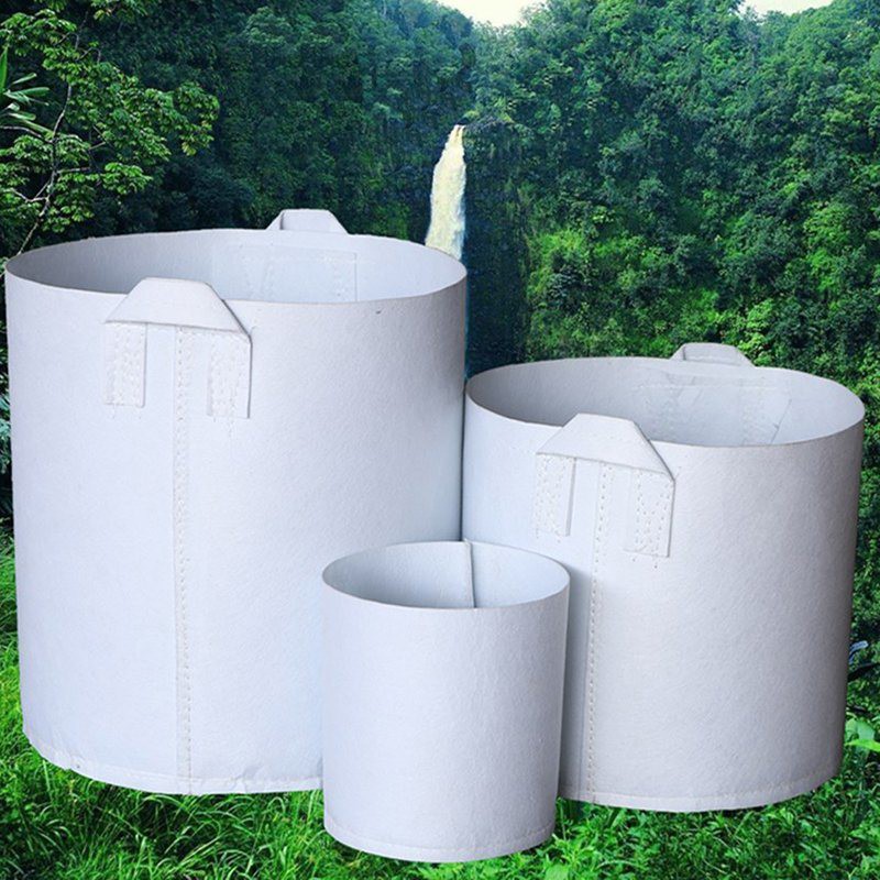 Báo giá túi vải trồng cây, túi vải trồng rau - Những giải pháp canh nông mới