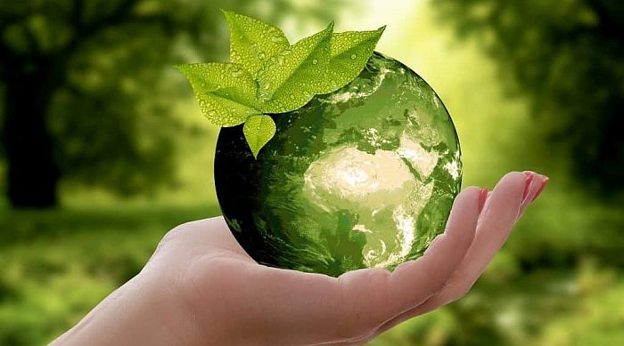 Phát triển bền vững về môi trường Cách để bảo vệ tương lai của chúng ta