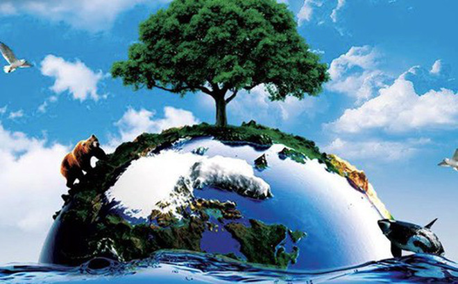 Vai trò của pháp luật trong bảo vệ môi trường 1 Vai trò của pháp luật trong bảo vệ môi trường