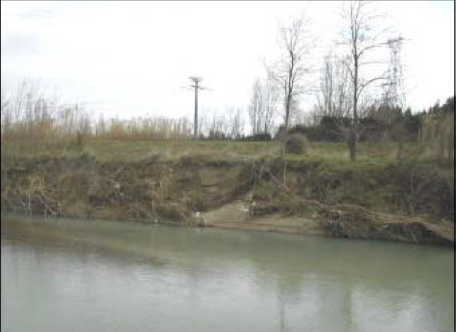 Giải Pháp Bảo Vệ Bờ Sông Lez tại Bollène nước Pháp: Một Phân Tích Kỹ Thuật