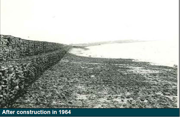 50 Năm Bức Tường Nửa Thủy Triều trên Sông Humber: Bài Học Từ Một Công Trình Địa Kỹ Thuật Thành Công