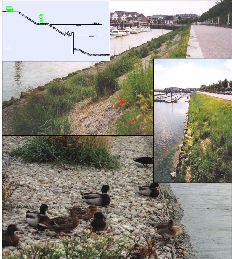 Nâng Cấp Cảng Crotoy: Giải Pháp Bảo Vệ Bờ và Cải Thiện Hạ Tầng Kỹ Thuật 7 Nâng Cấp Cảng Crotoy: Giải Pháp Bảo Vệ Bờ và Cải Thiện Hạ Tầng Kỹ Thuật