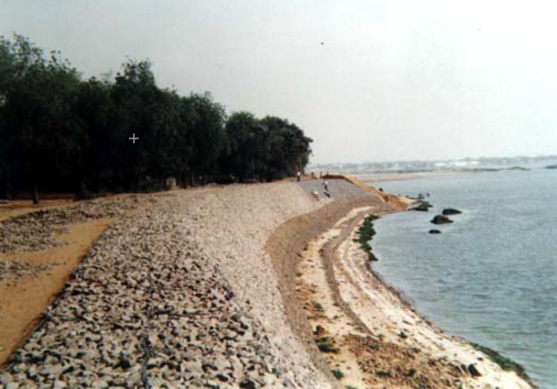 Bảo Vệ Bờ Sông Longone tại Kousseri, Cameroon