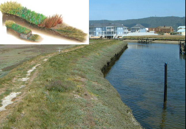 Dự Án Phát Triển Bến Du Thuyền Đảo Thesen