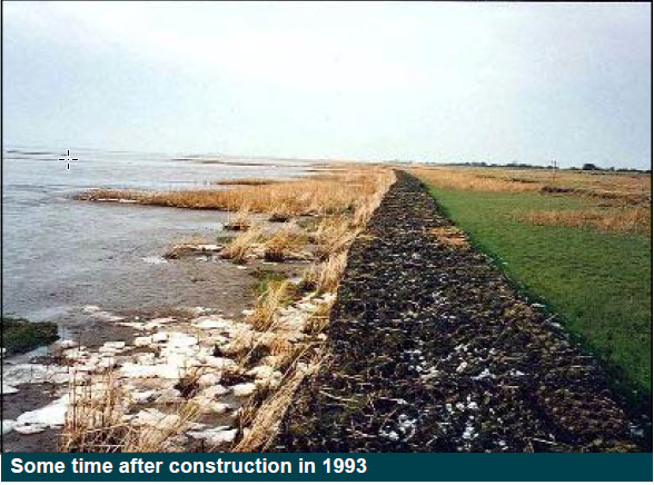 50 Năm Bức Tường Nửa Thủy Triều trên Sông Humber: Bài Học Từ Một Công Trình Địa Kỹ Thuật Thành Công