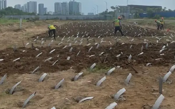 Bấc Thấm Giúp Tăng Nhanh Tốc Độ Cố Kết