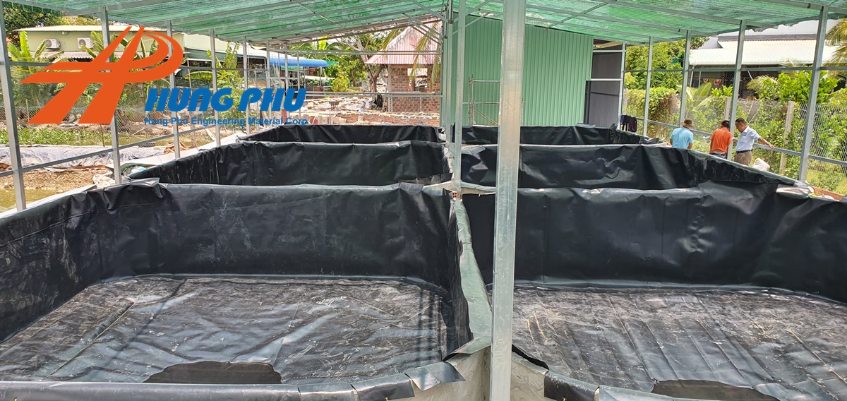 Bạt Lót Ao HDPE Giải Pháp Hiệu Quả Cho Nghề Nuôi Trồng Thủy Sản 20 Bạt Lót Ao HDPE Giải Pháp Hiệu Quả Cho Nghề Nuôi Trồng Thủy Sản