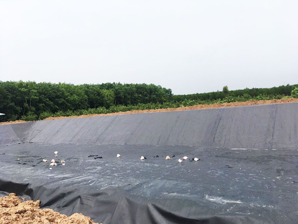 Bạt Nhựa HDPE Chống Thấm - Giải Pháp Toàn Diện Bảo Vệ Công Trình