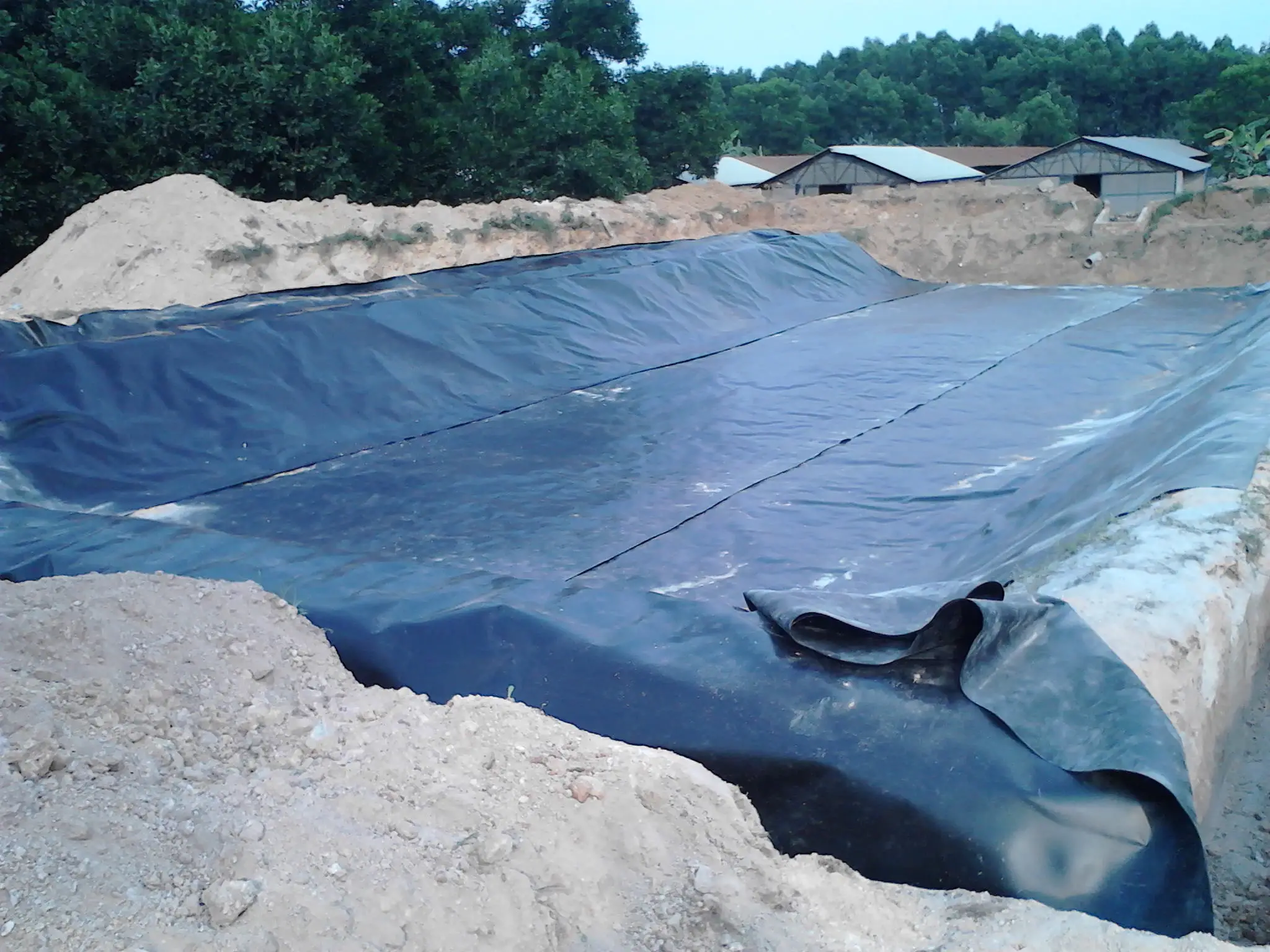 Màng Nhựa HDPE Đặc Điểm và Ứng Dụng