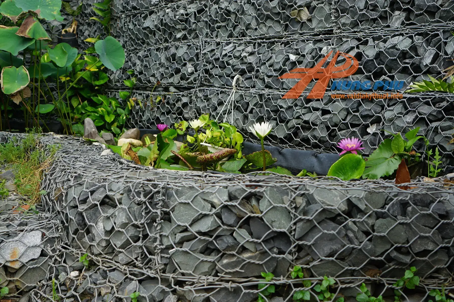 Tường Rọ Đá - Giải Pháp Xây Dựng Hiện Đại & Thân Thiện Môi Trường