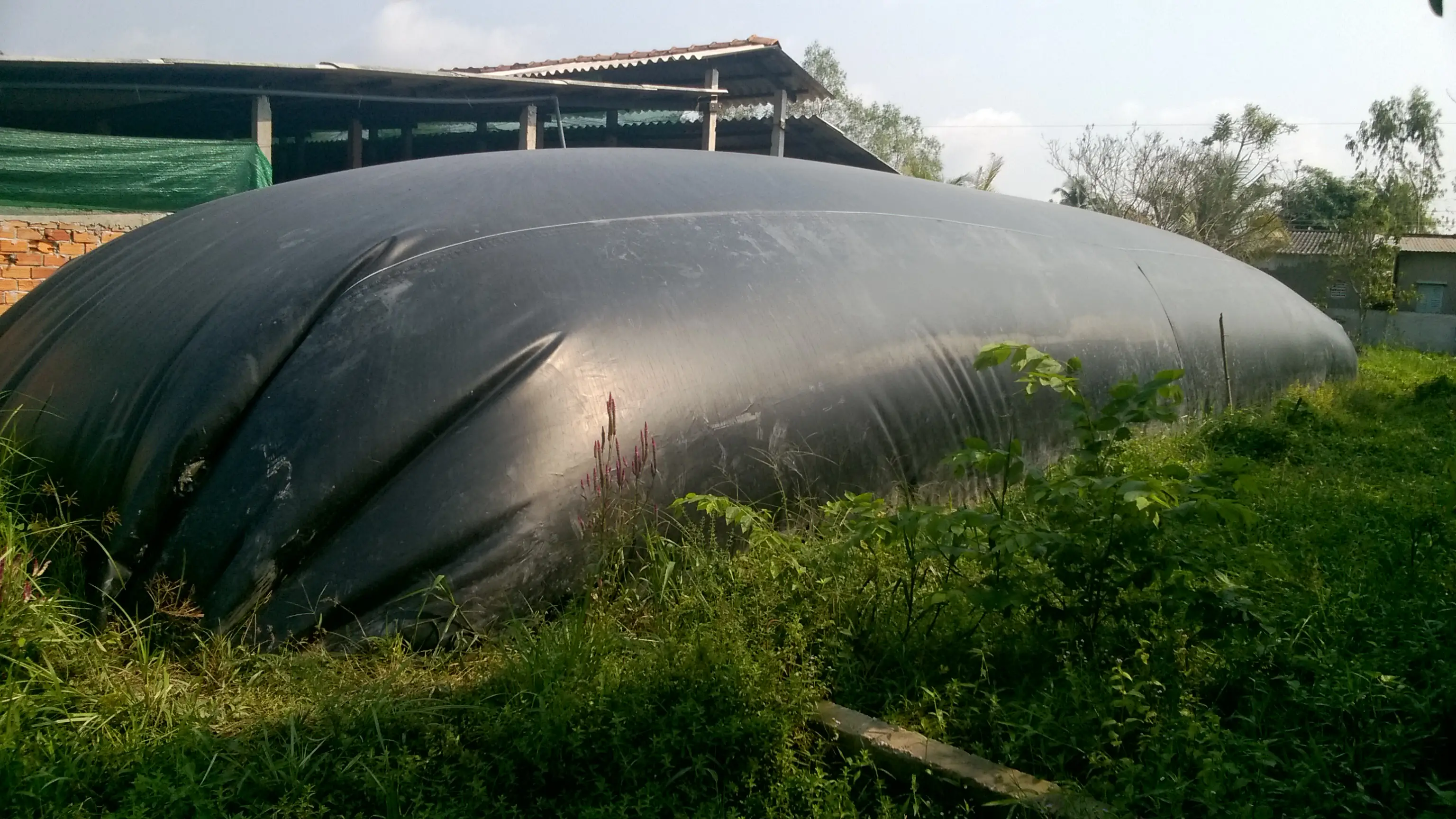 Hầm Biogas Bao Nhiêu Ngày Mới Có Ga? - Giải Mã Thời Gian Tạo Khí  Ứng Dụng