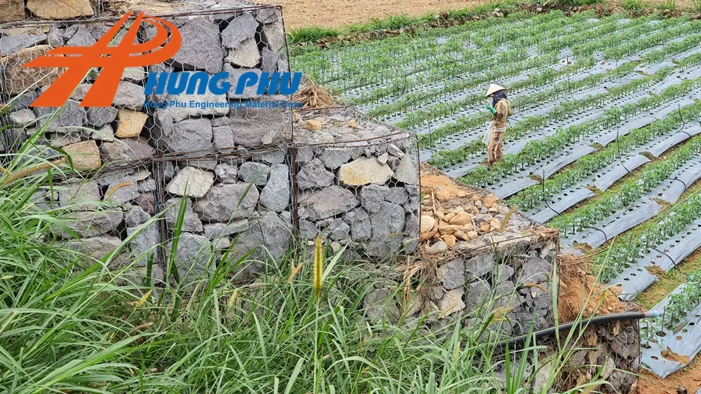 Rọ Đá Kè – Giải Pháp Bảo Vệ & Phát Triển Bền Vững