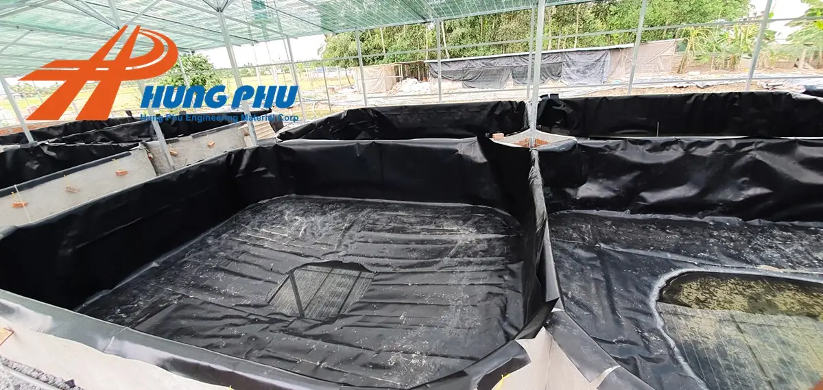 Bạt HDPE Nuôi Cá - Giải Pháp Vàng Cho Ngành Thủy Sản Hiện Đại 19 Bạt HDPE Nuôi Cá - Giải Pháp Vàng Cho Ngành Thủy Sản Hiện Đại