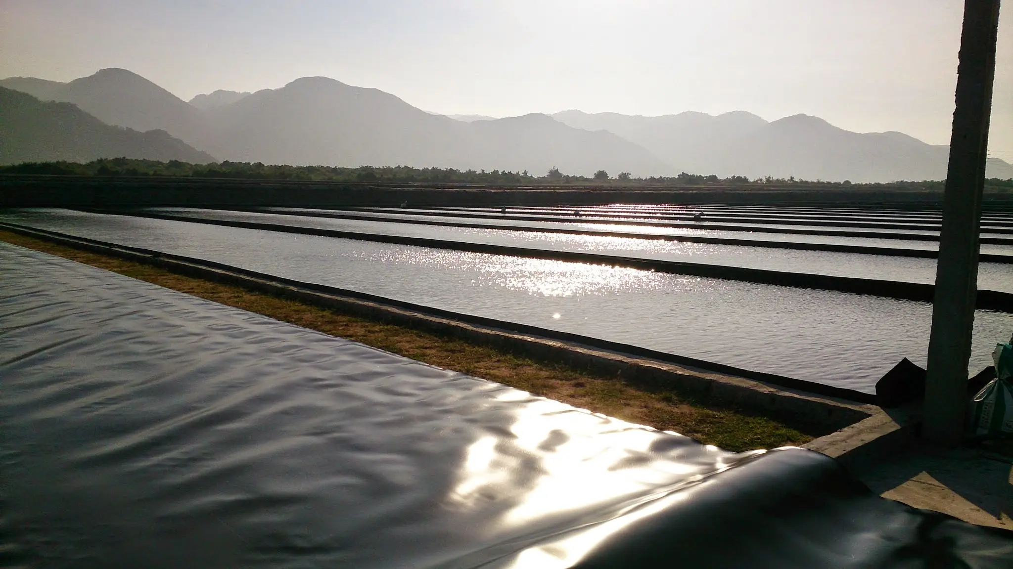 Bạt Lót Ruộng Muối - Giải Pháp Vàng Cho Ngành Muối Việt 13 Bạt Lót Ruộng Muối - Giải Pháp Vàng Cho Ngành Muối Việt
