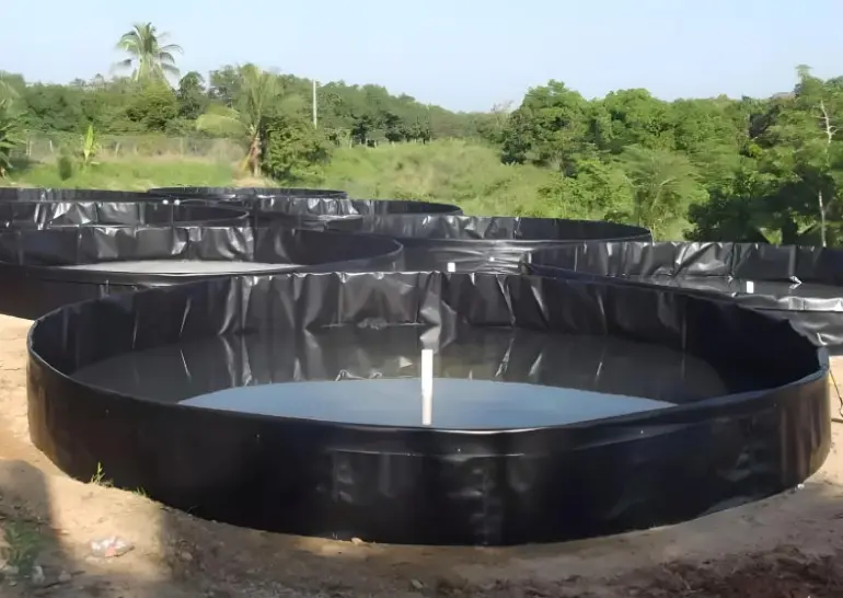 12 giá trị của màng HDPE cho giải pháp xây hồ nổi trong nuôi trồng thủy sản
