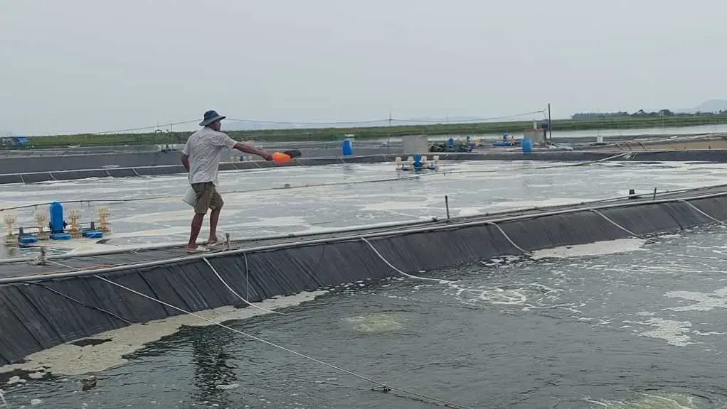 Màng HDPE 0.3 mm - Lá Chắn Vững Chắc Cho Mọi Công Trình và Nông Nghiệp