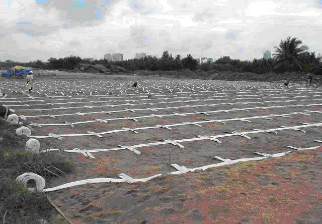 Biện Pháp Thi Công Bấc Thấm - Giải Pháp Vàng Cho Nền Móng Vững Chắc