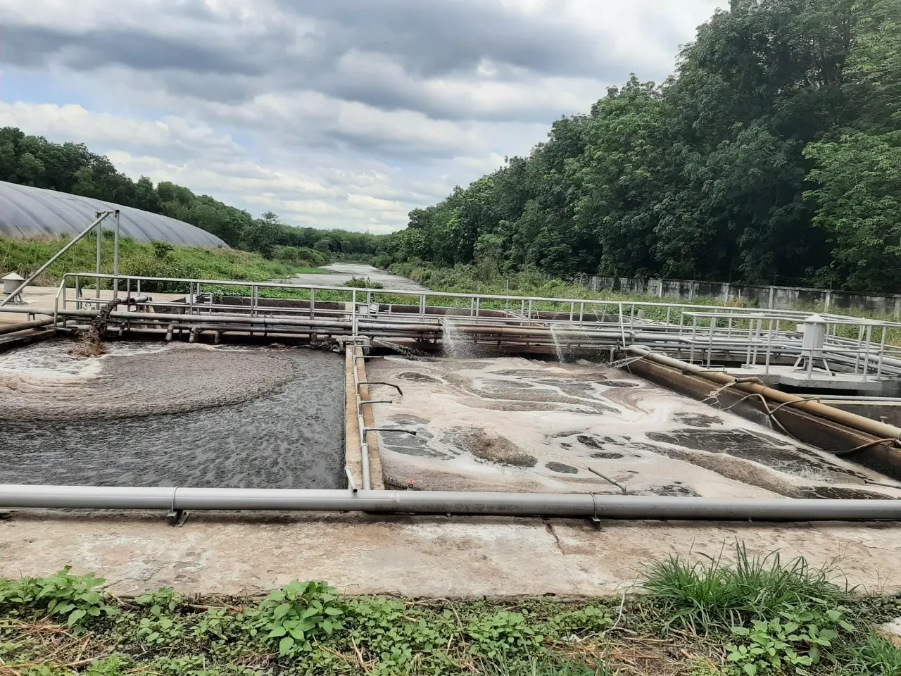 Hệ Thống Xử Lý Nước Thải Chăn Nuôi - Bước Ngoặt Cho Nông Nghiệp Bền Vững