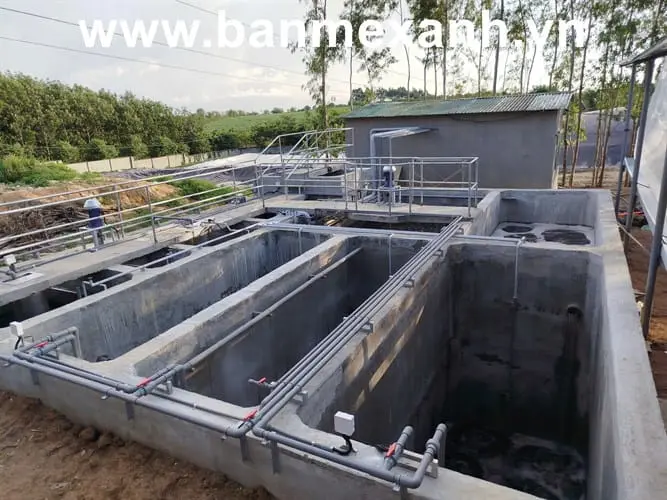 Xử Lý Nước Thải Trại Heo - Hành Động Vì Môi Trường Xanh & Cộng Đồng Khỏe