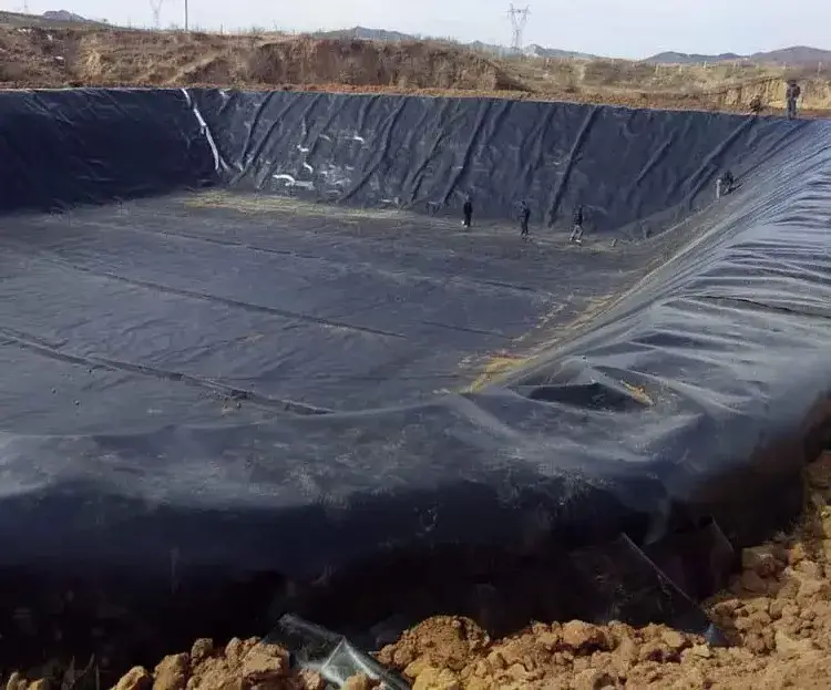 Màng chống thấm HDPE liên kết bằng gioăng cao su