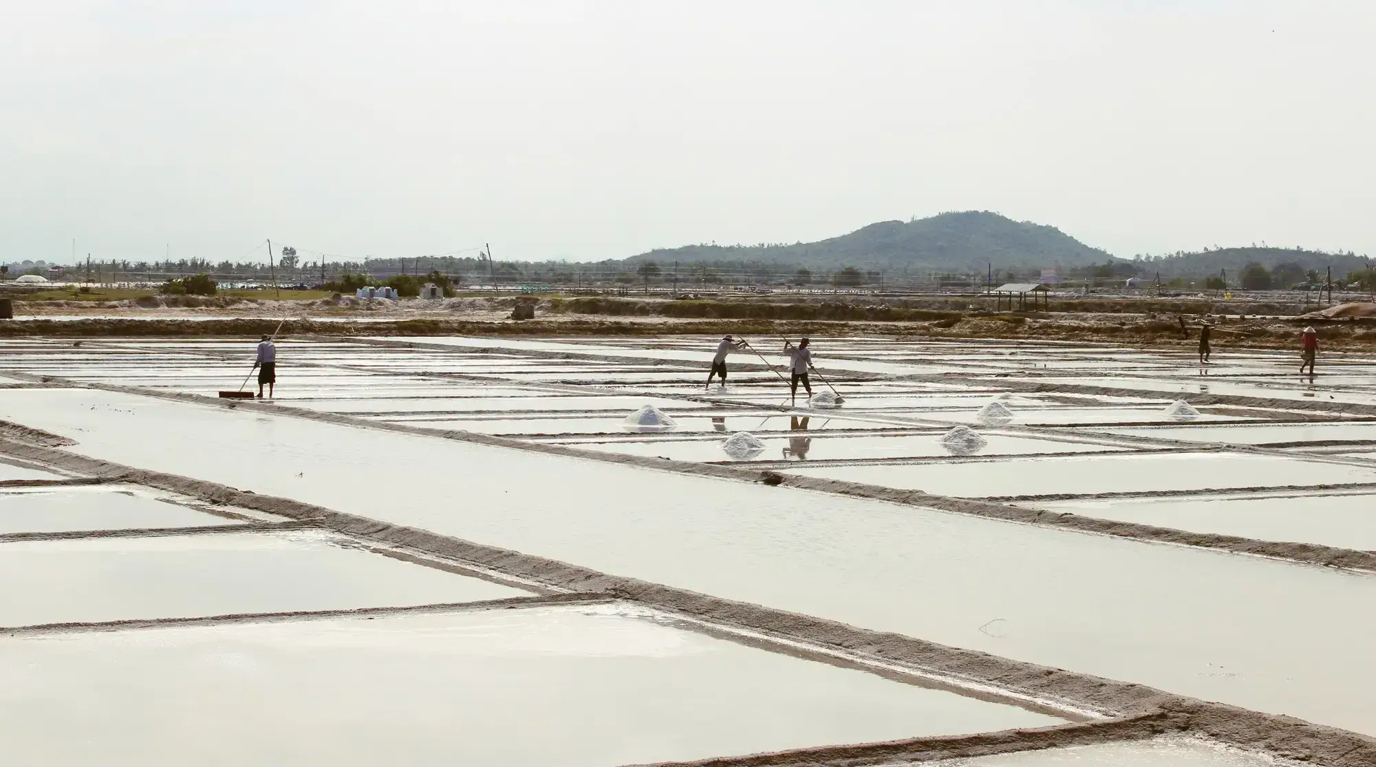 Ruộng muối Bạch Long: Khám phá vẻ đẹp và giá trị độc đáo của vùng đất mặn